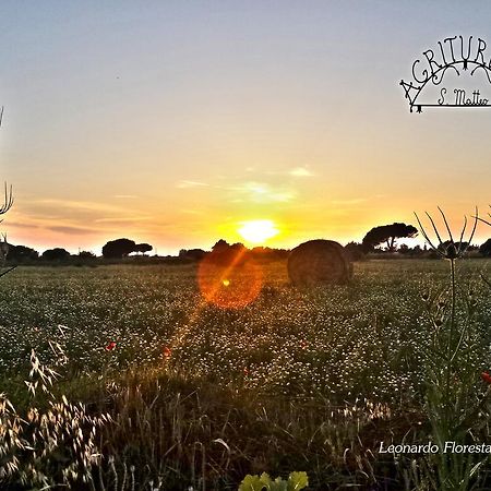 Agriturismo San Matteo 타르퀴니아 외부 사진