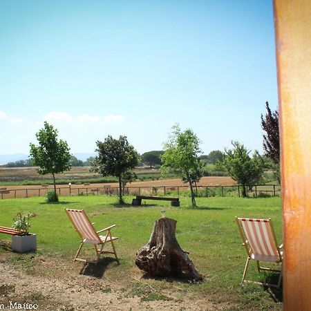 Agriturismo San Matteo 타르퀴니아 외부 사진