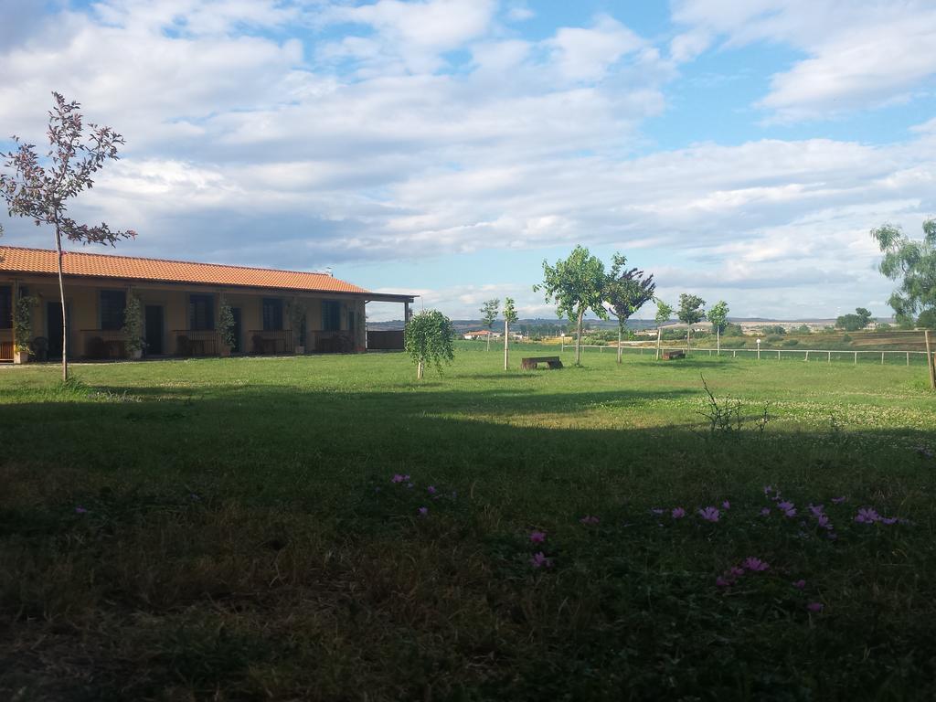Agriturismo San Matteo 타르퀴니아 객실 사진