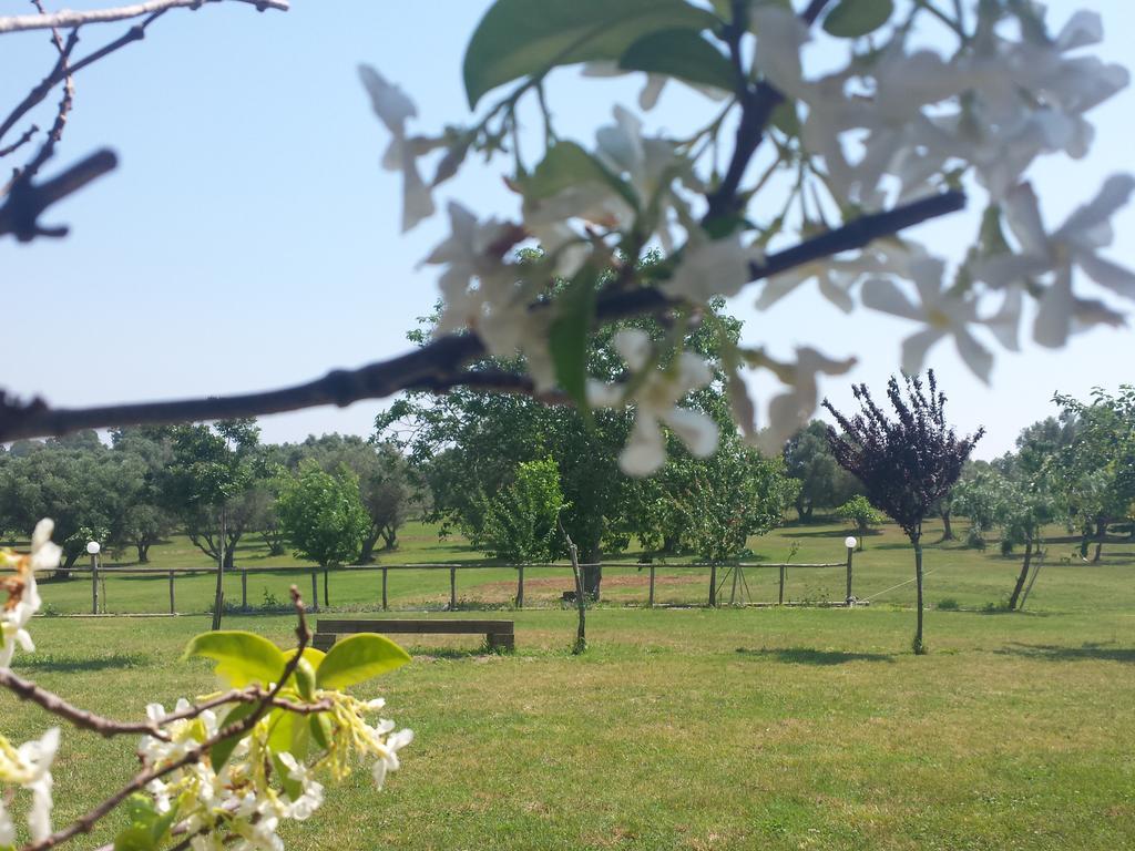 Agriturismo San Matteo 타르퀴니아 객실 사진