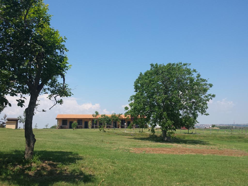 Agriturismo San Matteo 타르퀴니아 객실 사진