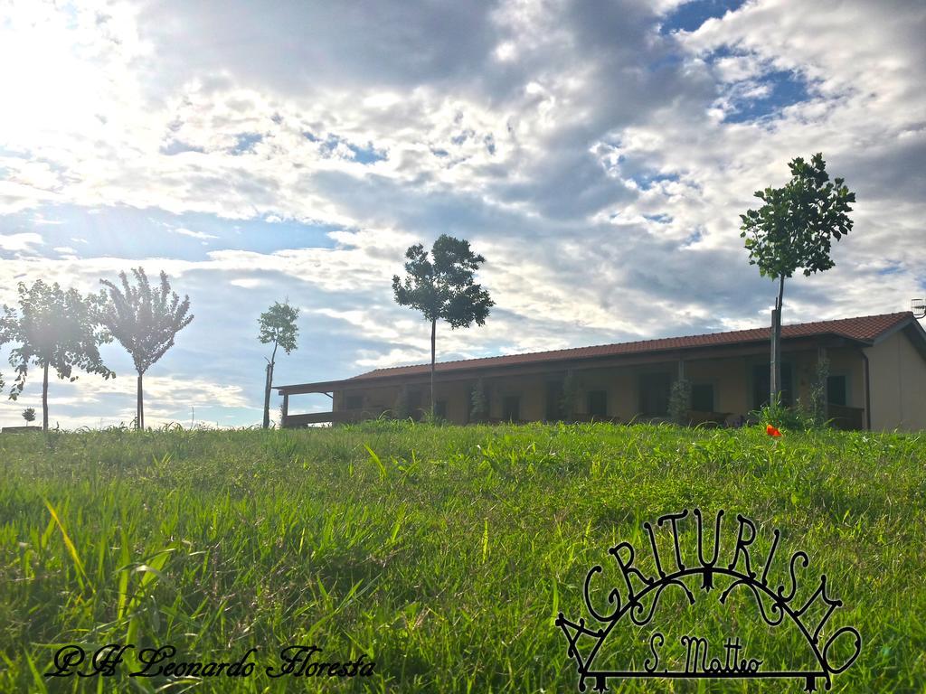 Agriturismo San Matteo 타르퀴니아 외부 사진