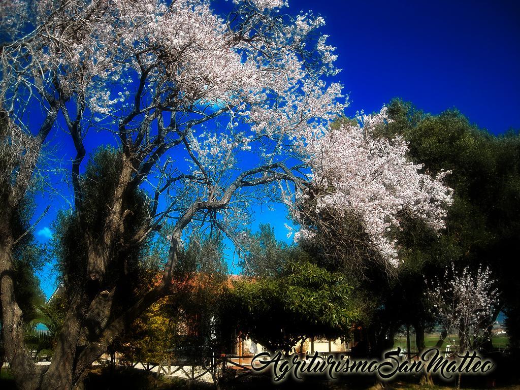 Agriturismo San Matteo 타르퀴니아 외부 사진