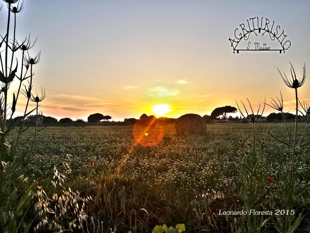 Agriturismo San Matteo 타르퀴니아 외부 사진