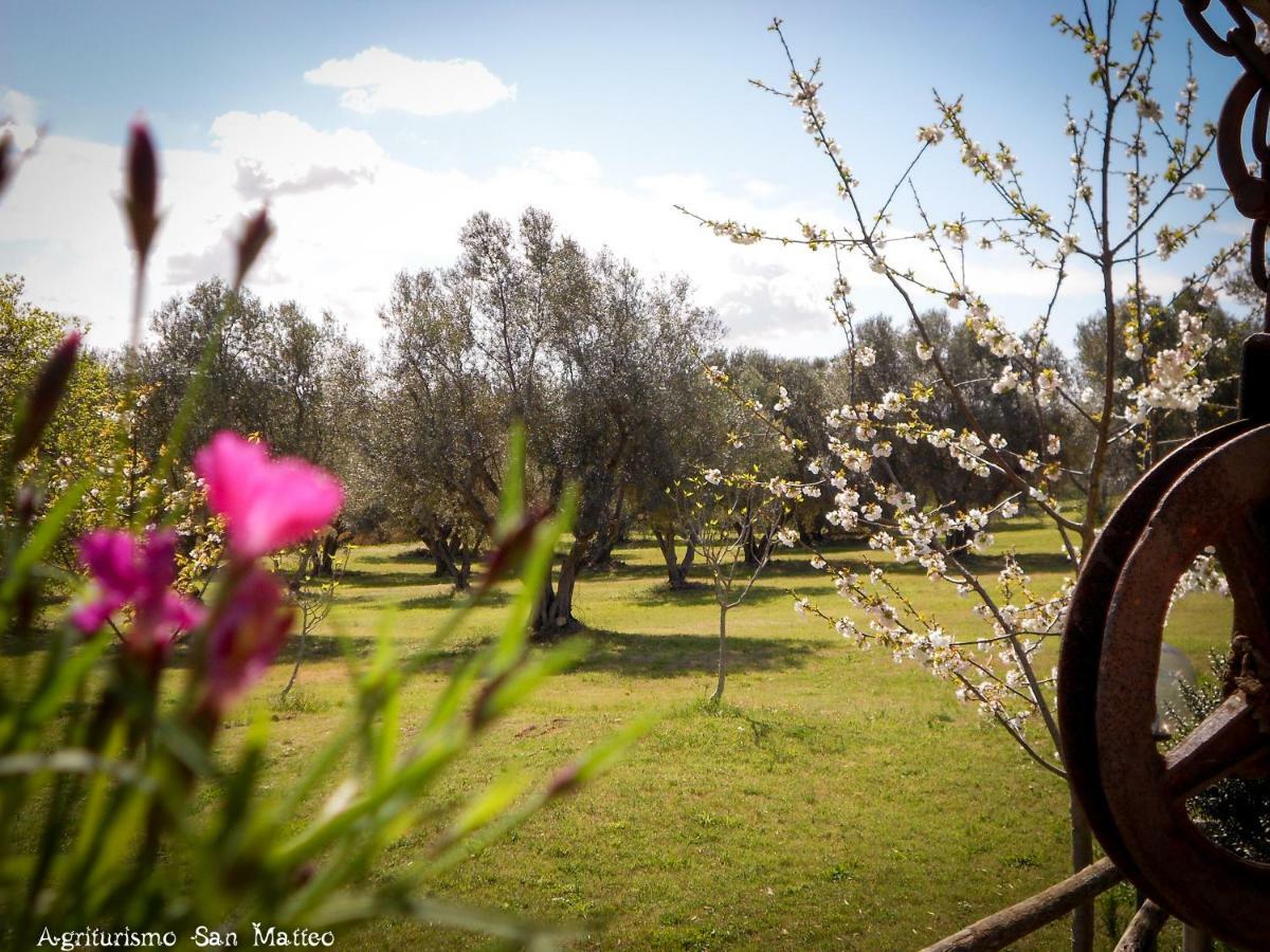 Agriturismo San Matteo 타르퀴니아 외부 사진