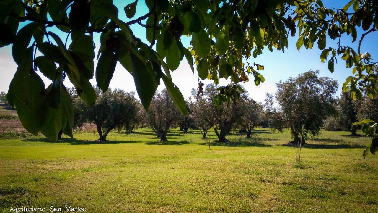 Agriturismo San Matteo 타르퀴니아 외부 사진