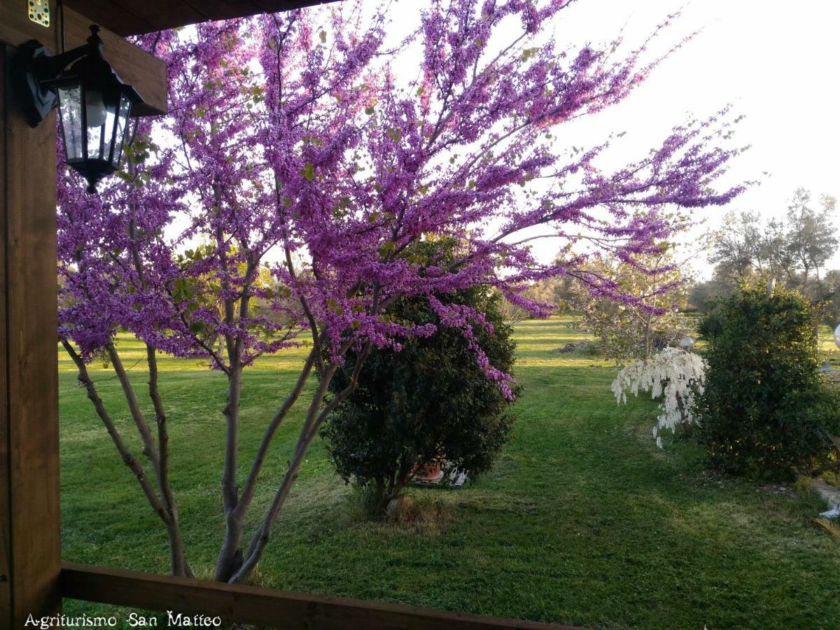 Agriturismo San Matteo 타르퀴니아 외부 사진
