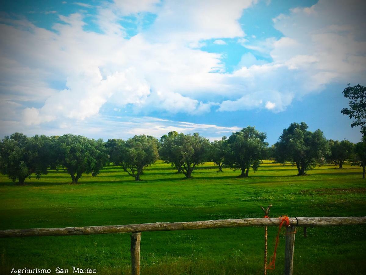 Agriturismo San Matteo 타르퀴니아 외부 사진