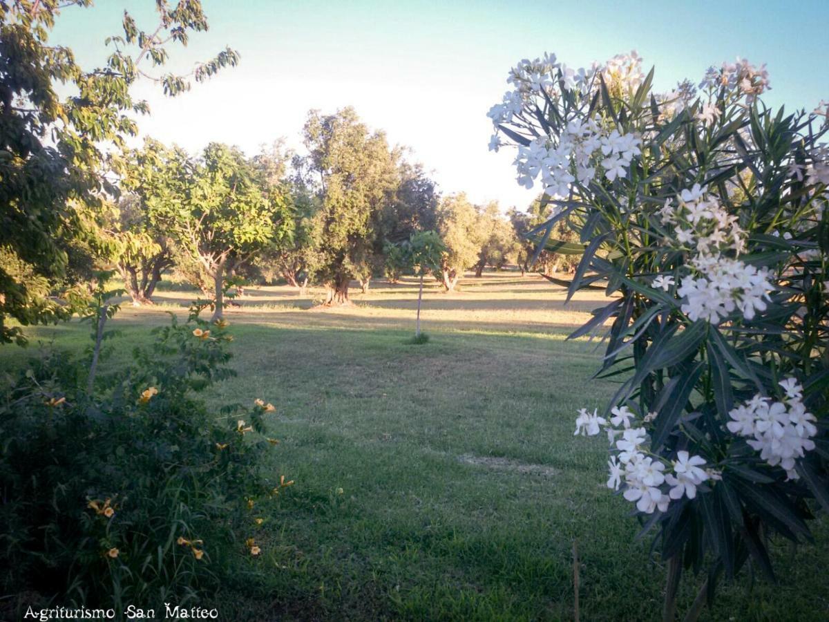 Agriturismo San Matteo 타르퀴니아 외부 사진