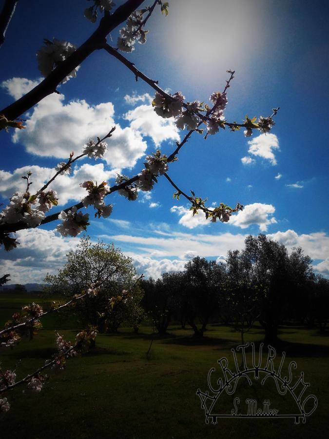 Agriturismo San Matteo 타르퀴니아 외부 사진