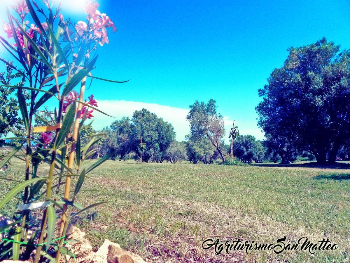 Agriturismo San Matteo 타르퀴니아 외부 사진