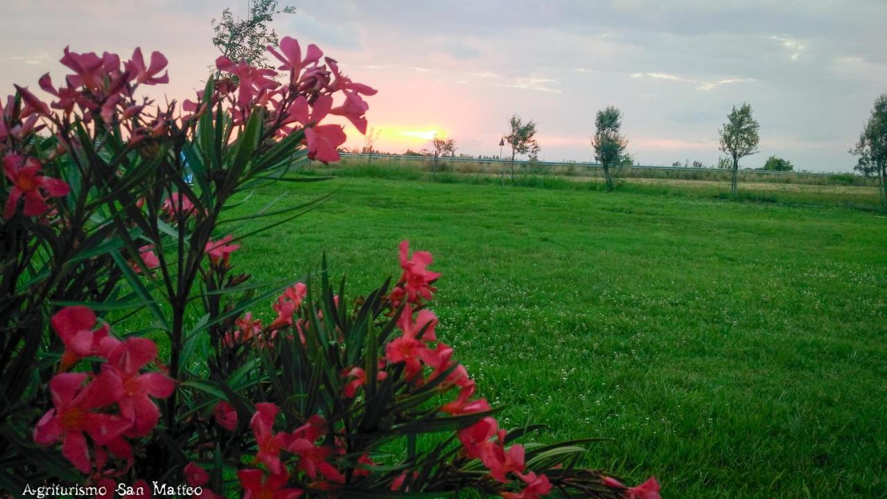 Agriturismo San Matteo 타르퀴니아 외부 사진